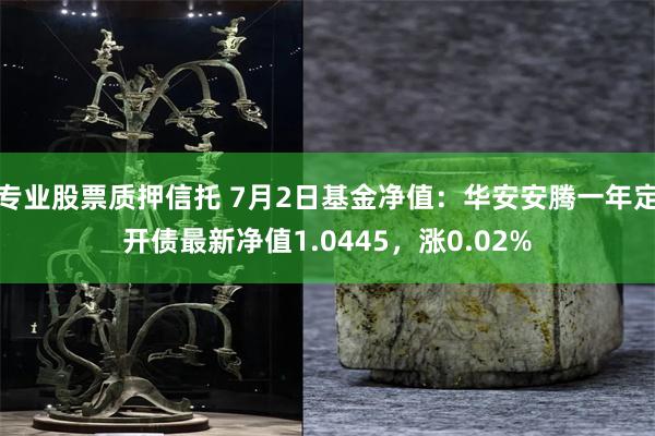 专业股票质押信托 7月2日基金净值:华安安腾一年定开债最新净值1.0445,涨0.02%