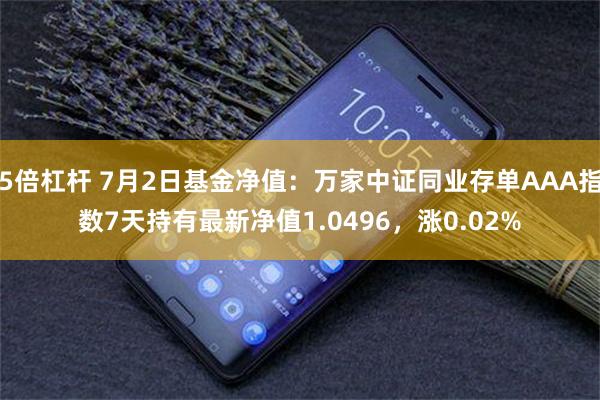 5倍杠杆 7月2日基金净值:万家中证同业存单AAA指数7天持有最新净值1.0496,涨0.02%