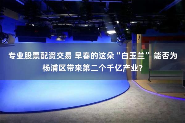 专业股票配资交易 早春的这朵“白玉兰” 能否为杨浦区带来第二个千亿产业？
