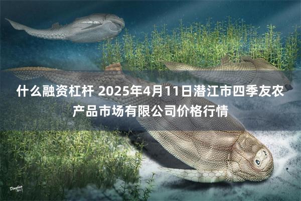 什么融资杠杆 2025年4月11日潜江市四季友农产品市场有限公司价格行情