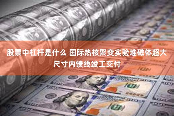 股票中杠杆是什么 国际热核聚变实验堆磁体超大尺寸内馈线竣工交付