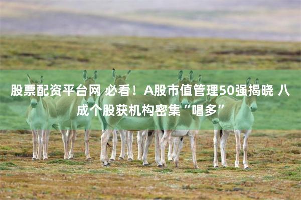 股票配资平台网 必看!A股市值管理50强揭晓 八成个股获机构密集“唱多”