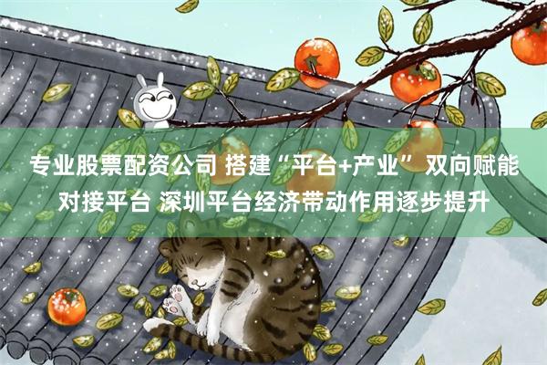 专业股票配资公司 搭建“平台+产业” 双向赋能对接平台 深圳平台经济带动作用逐步提升
