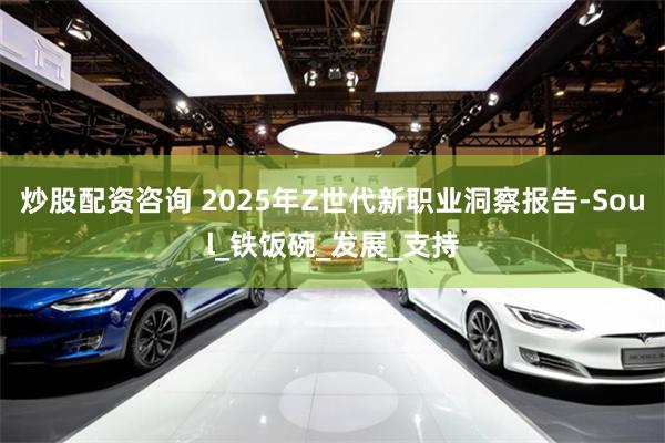 炒股配资咨询 2025年Z世代新职业洞察报告-Soul_铁饭碗_发展_支持