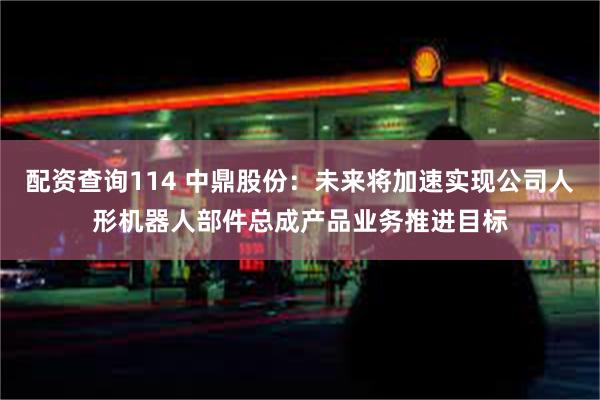配资查询114 中鼎股份:未来将加速实现公司人形机器人部件总成产品业务推进目标