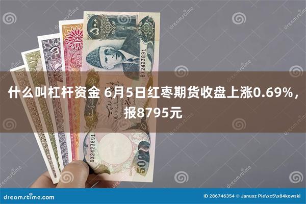什么叫杠杆资金 6月5日红枣期货收盘上涨0.69%,报8795元