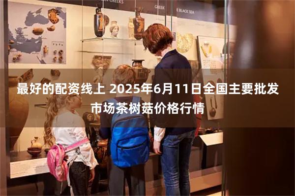 最好的配资线上 2025年6月11日全国主要批发市场茶树菇价格行情