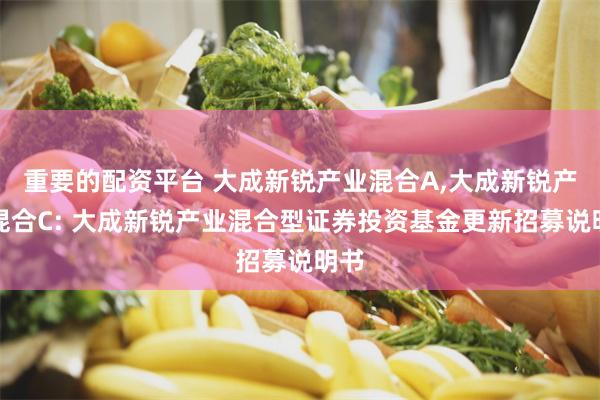 重要的配资平台 大成新锐产业混合A,大成新锐产业混合C: 大成新锐产业混合型证券投资基金更新招募说明书