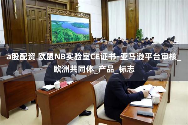 a股配资 欧盟NB实验室CE证书-亚马逊平台审核_欧洲共同体_产品_标志
