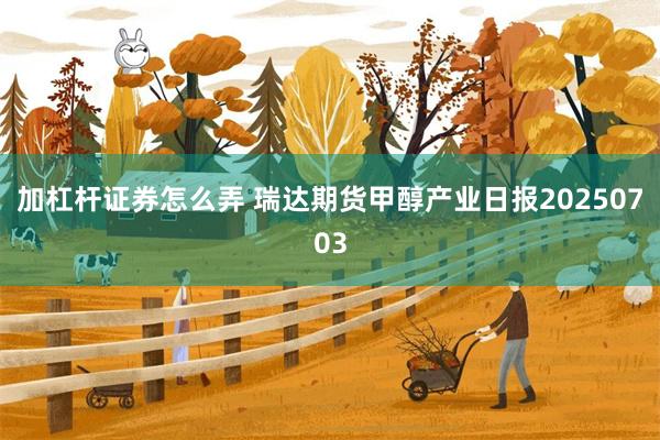 加杠杆证券怎么弄 瑞达期货甲醇产业日报20250703