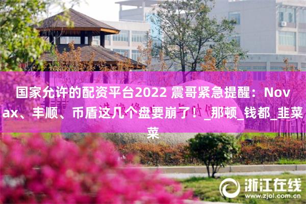 国家允许的配资平台2022 震哥紧急提醒:Novax、丰顺、币盾这几个盘要崩了!_那顿_钱都_韭菜