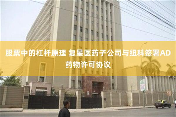 股票中的杠杆原理 复星医药子公司与纽科签署AD药物许可协议