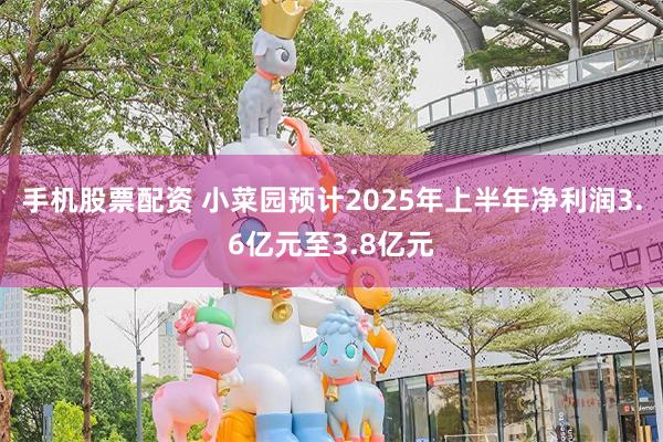 手机股票配资 小菜园预计2025年上半年净利润3.6亿元至3.8亿元