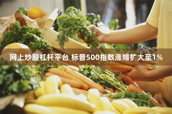 网上炒股杠杆平台 标普500指数涨幅扩大至1%