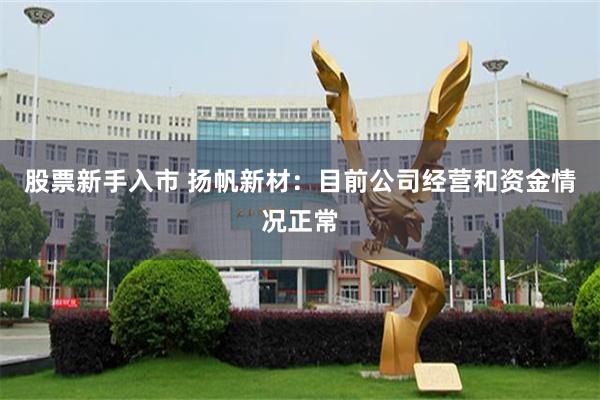 股票新手入市 扬帆新材：目前公司经营和资金情况正常
