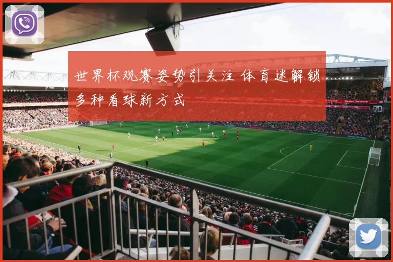 世界杯观赛姿势引关注 体育迷解锁多种看球新方式