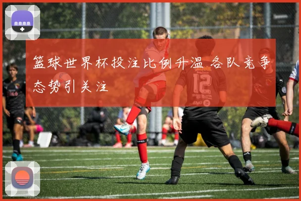 篮球世界杯投注比例升温 各队竞争态势引关注