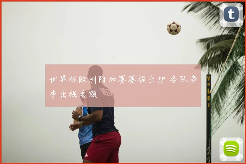 世界杯欧洲附加赛赛程出炉 各队争夺出线名额