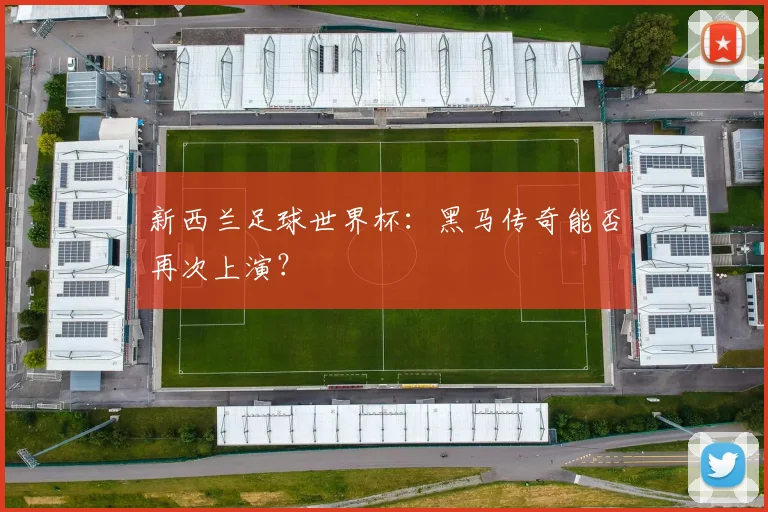 新西兰足球世界杯：黑马传奇能否再次上演？