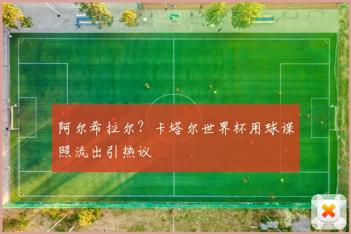 阿尔希拉尔?卡塔尔世界杯用球谍照流出引热议