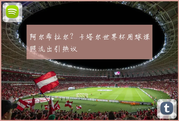 阿尔希拉尔?卡塔尔世界杯用球谍照流出引热议