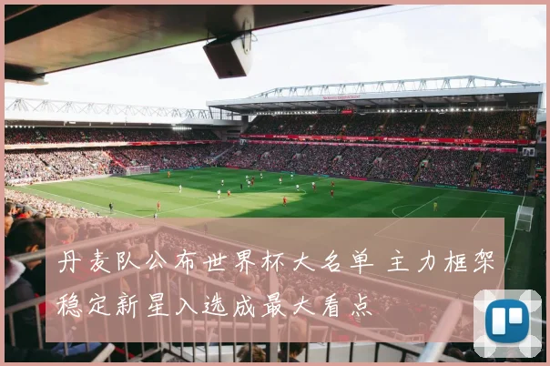 丹麦队公布世界杯大名单 主力框架稳定新星入选成最大看点